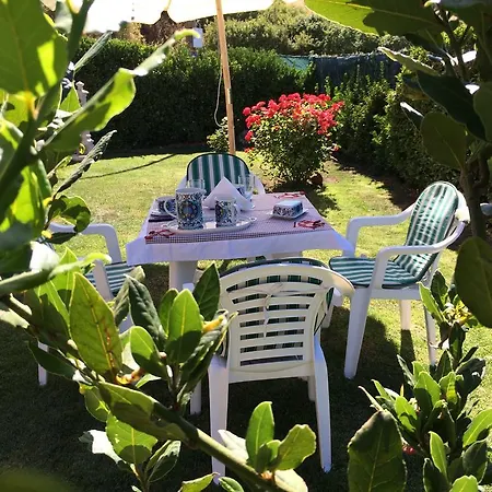 Bed and breakfast Sa Mariposa