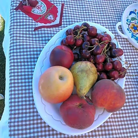 Bed & Breakfast Sa Mariposa Ittiri